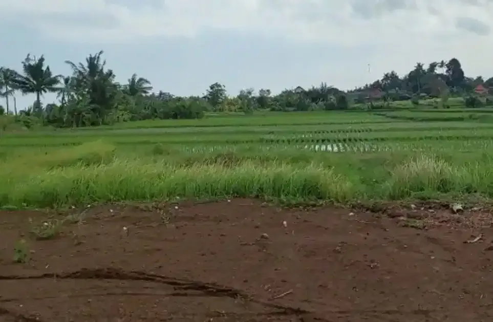 DIJUAL TANAH DEKAT PANTAI KEDUNGU TABANAN - Image 5 of 6