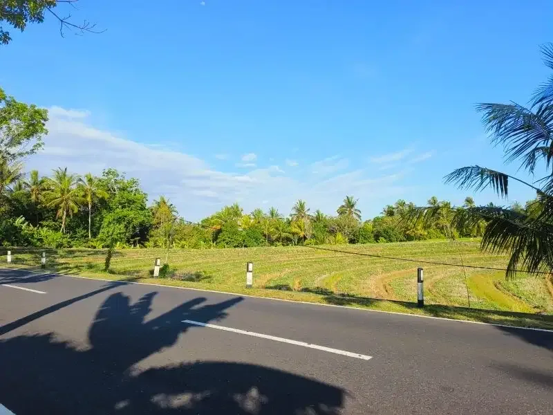tanah murah datar view sawah akse s jalan propinsi di bali - Image 2 of 10