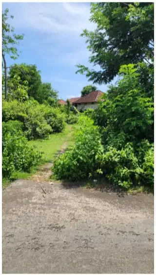 Land for rent next to Villa Prasana Ungasan - Image 8 of 10