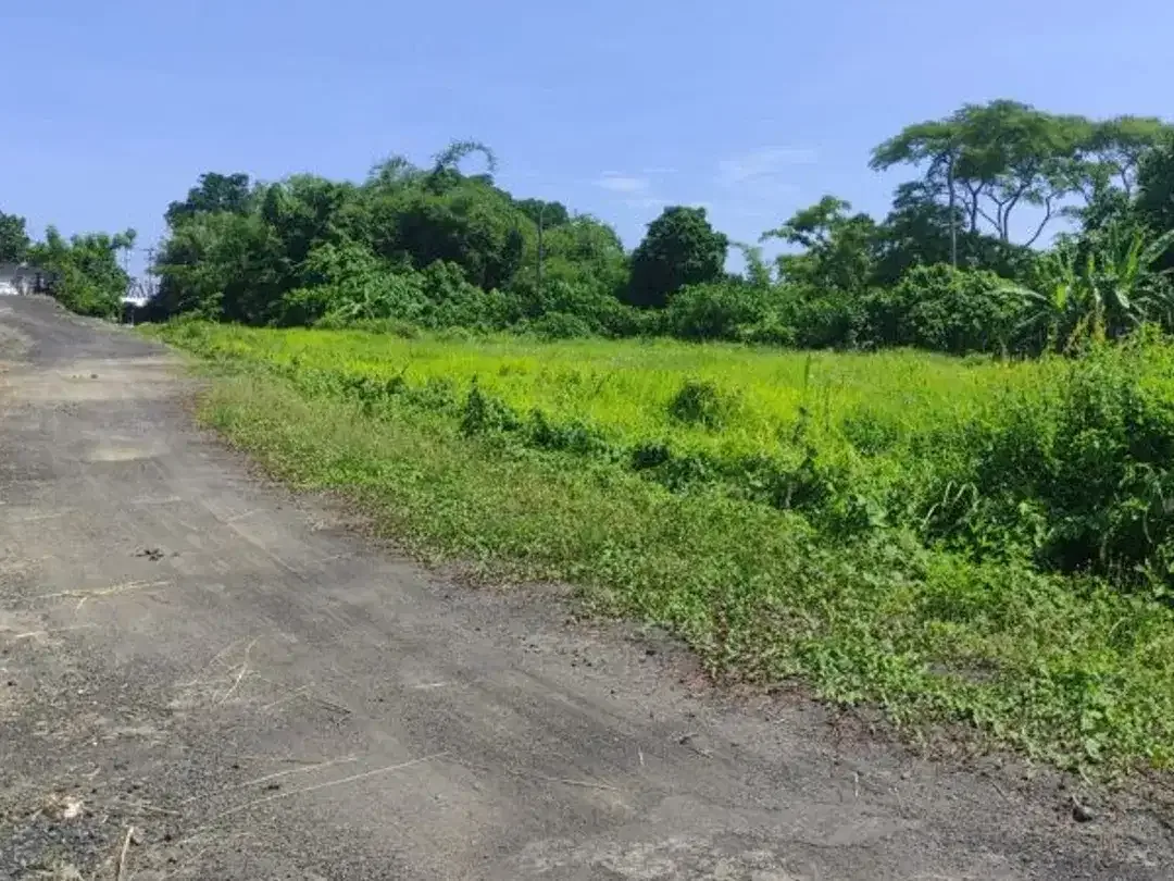 TANAH BYPASS IDA BAGUS MANTRA KETEWEL SUKAWATI GIANYAR - Image 2 of 7