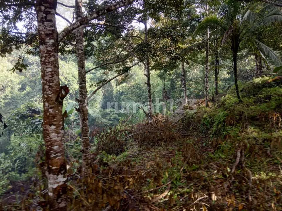Tanah Murah Sidemen Dekat Tebola Karangasem - Image 4 of 4