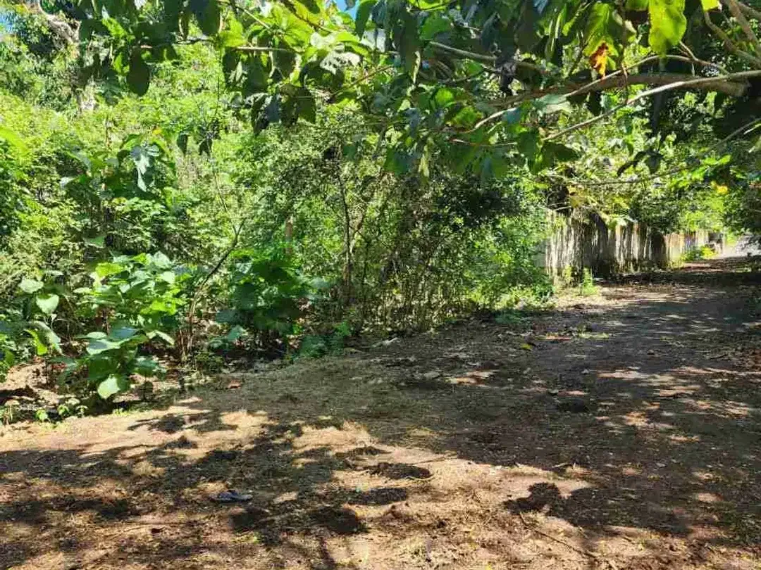 dijual tanah 50 are IDR 550 juta per are dekat Savaya pecatu badung bali - Image 2 of 8