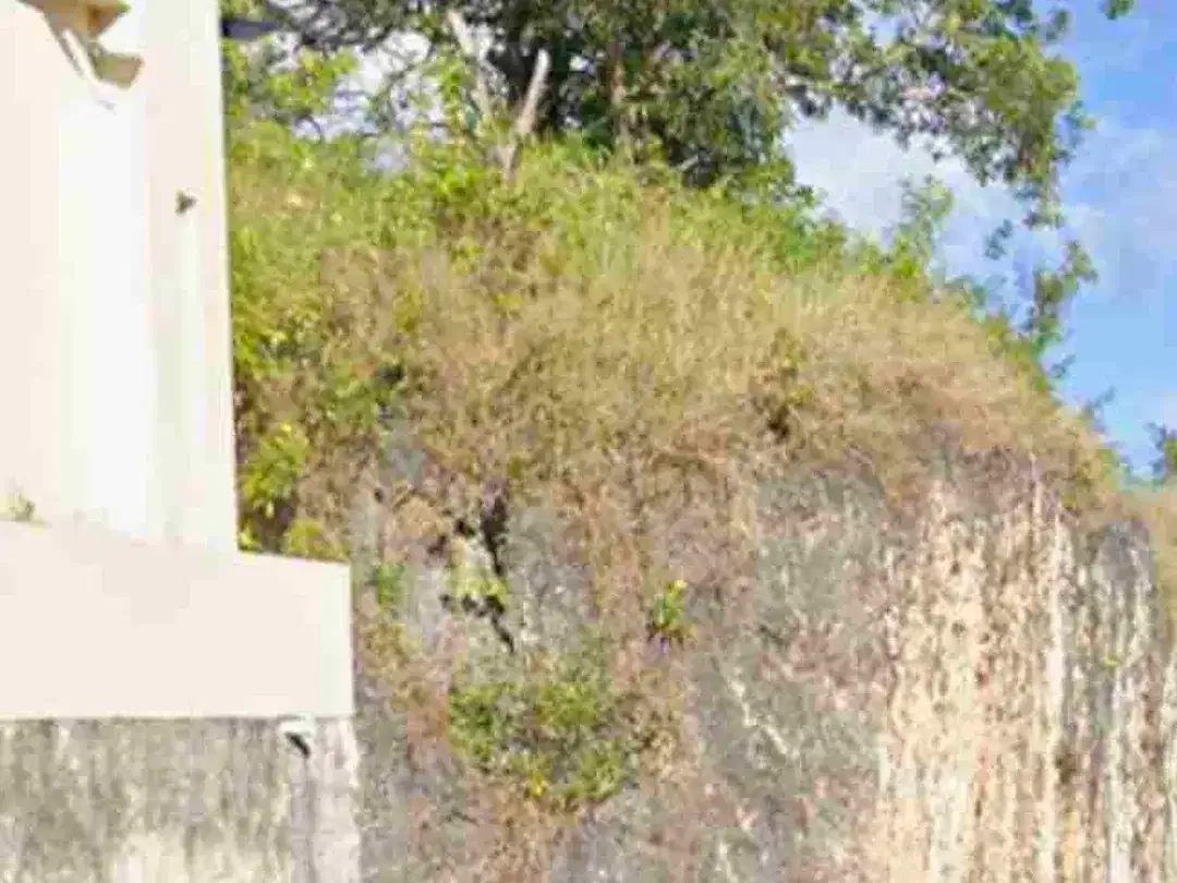 dijual tanah 1750m² IDR 700 JT/are ocean view unblock kawasan villa Tiara nusa jimbaran badung bali - Image 6 of 6