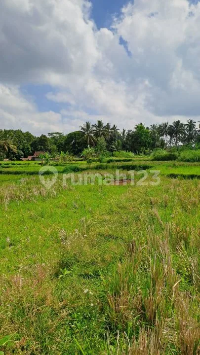 Jual tanah ubud payangan - Image 3 of 4