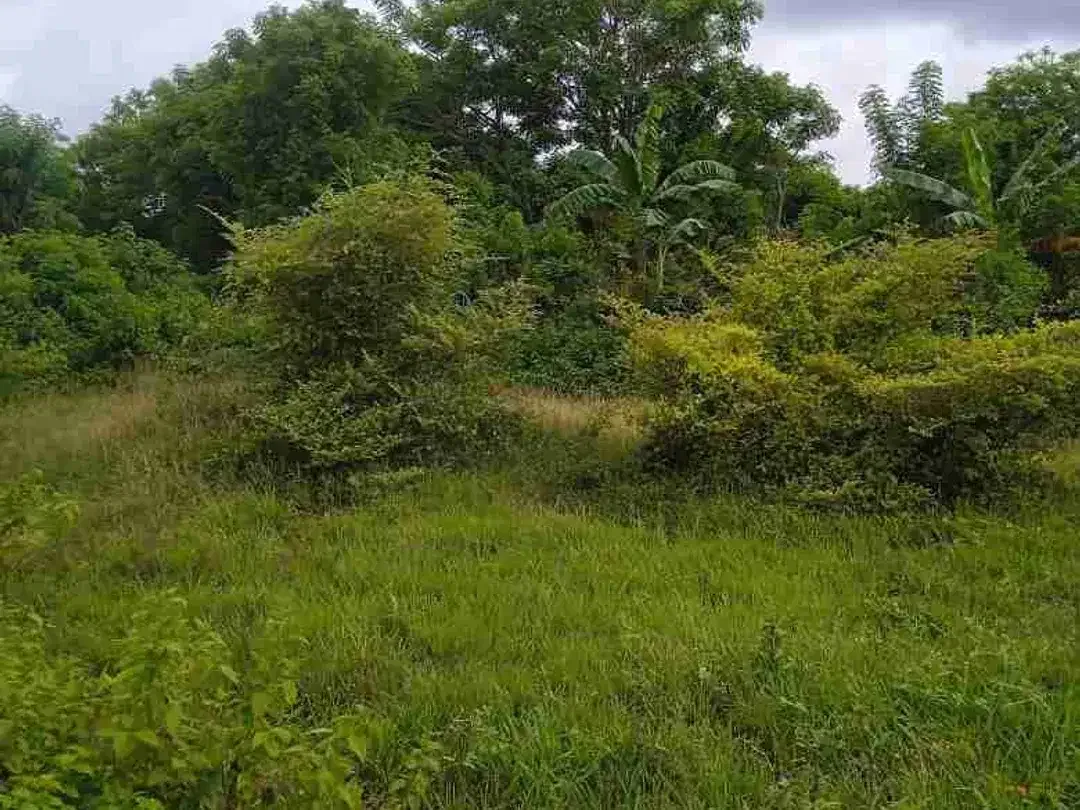 tanah plot Kecil 550m² IDR 950 jt/are Kawasan pantai Balangan Jimbaran Kuta Selatan Badung Bali - Image 3 of 7