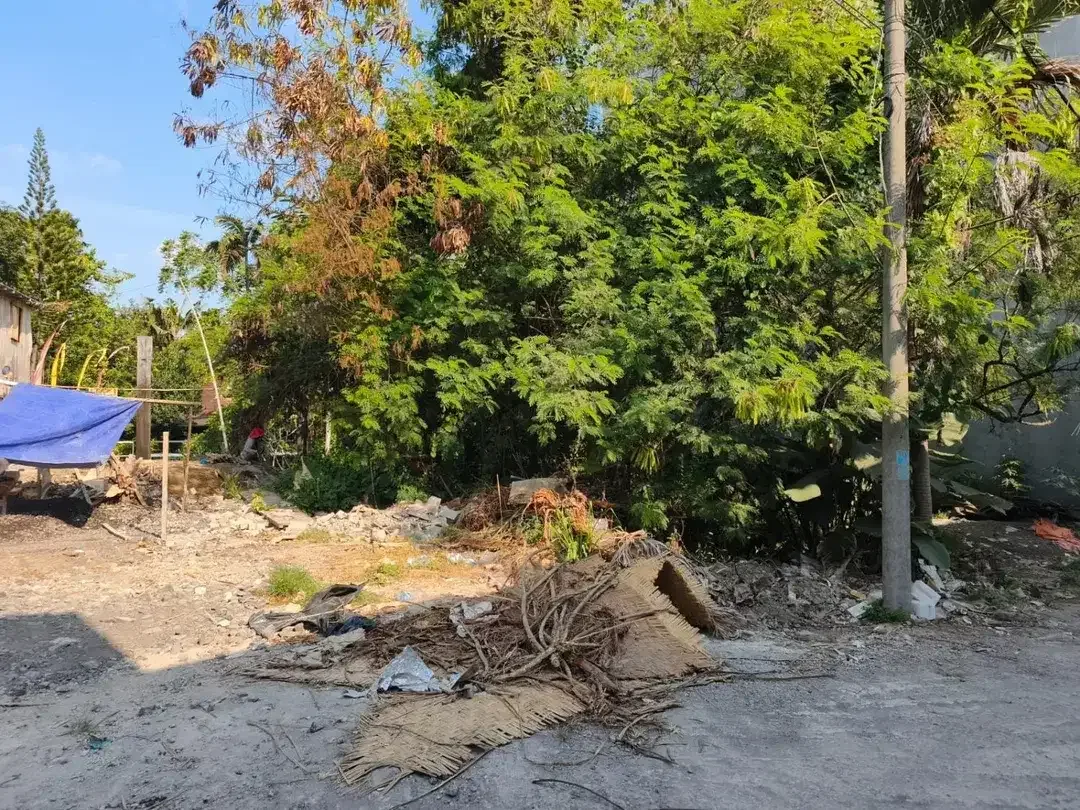 JUAL TANAH KECIL CANGGU - Image 6 of 10