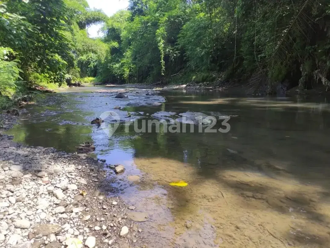 Dijual Cepat Tanah Pinggir Jalan Utama Investasi Komersial di Gianyar - Image 6 of 10