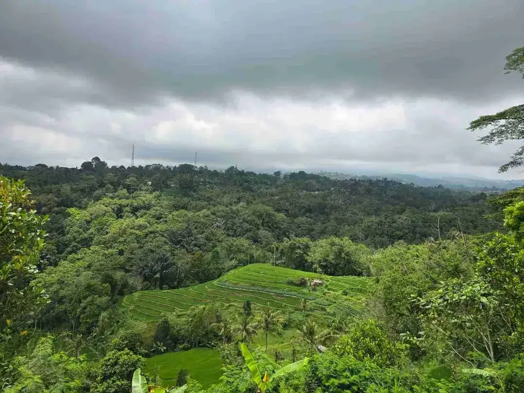 Tanah kebun view tiga gunung dan view sawah sangat panorama - Image 4 of 9