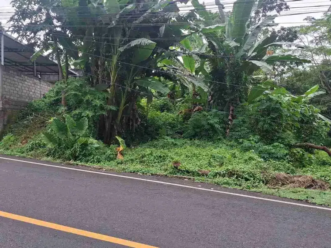Tanah di Jalan Utama Denpasar Gilimanuk dekat Exit Toll Antosari - Image 2 of 3