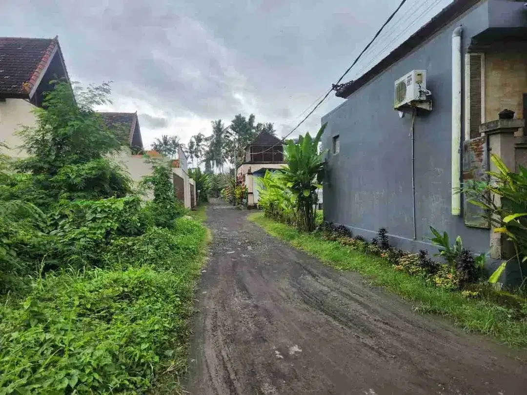 Tanah Lingkungan Villa Ubud Harga Menarik - Image 5 of 10