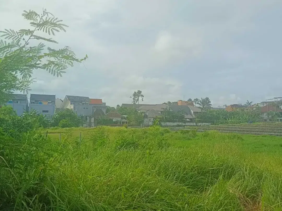 Land for sale in Mengwi, Bali - Image 4 of 10