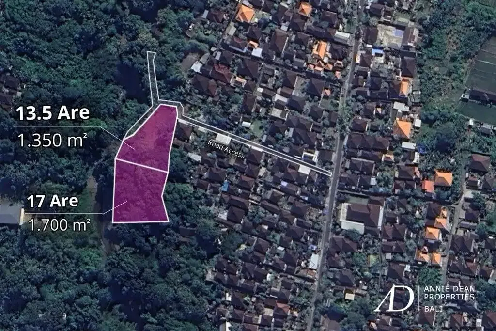 FREEHOLD RIVERFRONT LAND WITH JUNGLE VIEWS - PRIME INVESTMENT IN CEPAKA - Image 3 of 5