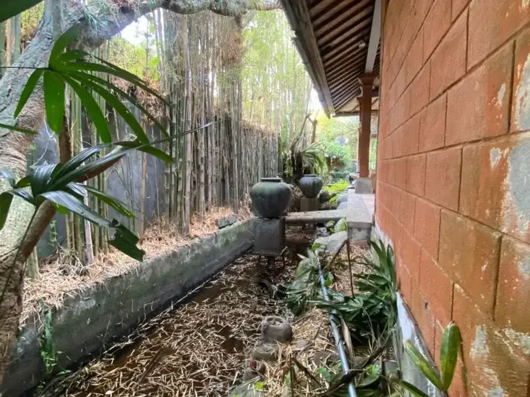 SEMI-VILLA FOR RENT – PENESTANAN, UBUD - Image 10 of 10