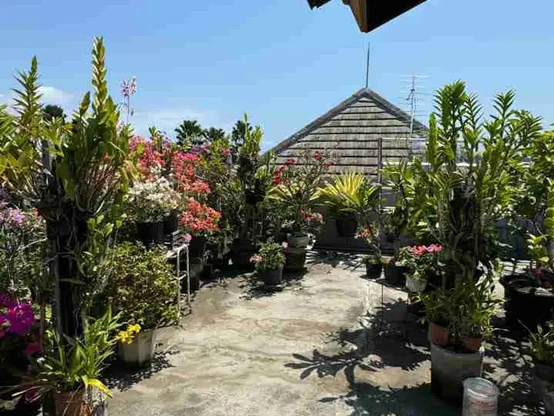 RUMAH NYAMAN DAN ASRI DI BUDUK - Image 8 of 10