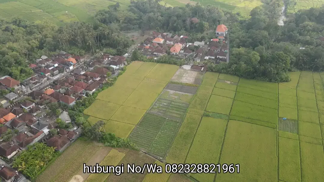 Tanah 3450m2 Full View Sawah di Pantai Kelating Tabanan - Image 8 of 10