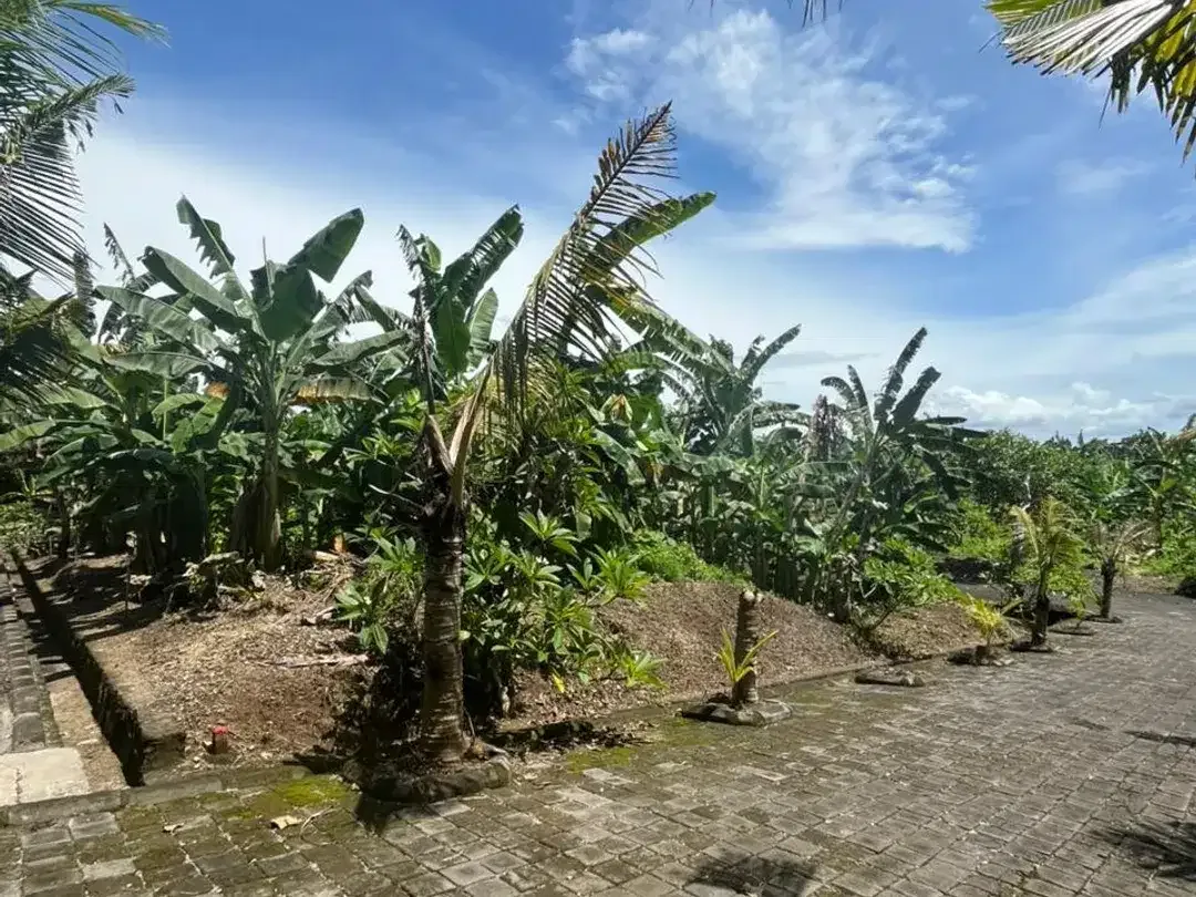 Kavling Premium di Gianyar Cocok untuk Investasi - Image 4 of 7