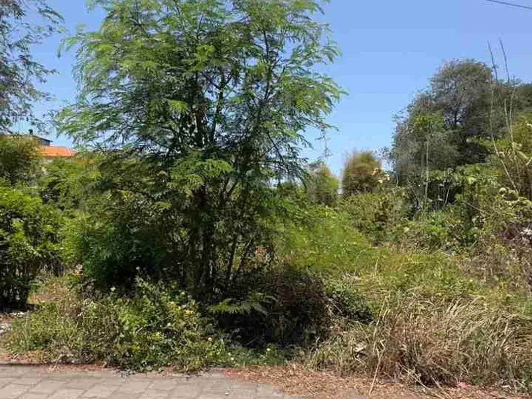 Dijual Tanah 592m2 bisa potong roti di jimbaran - Image 8 of 10
