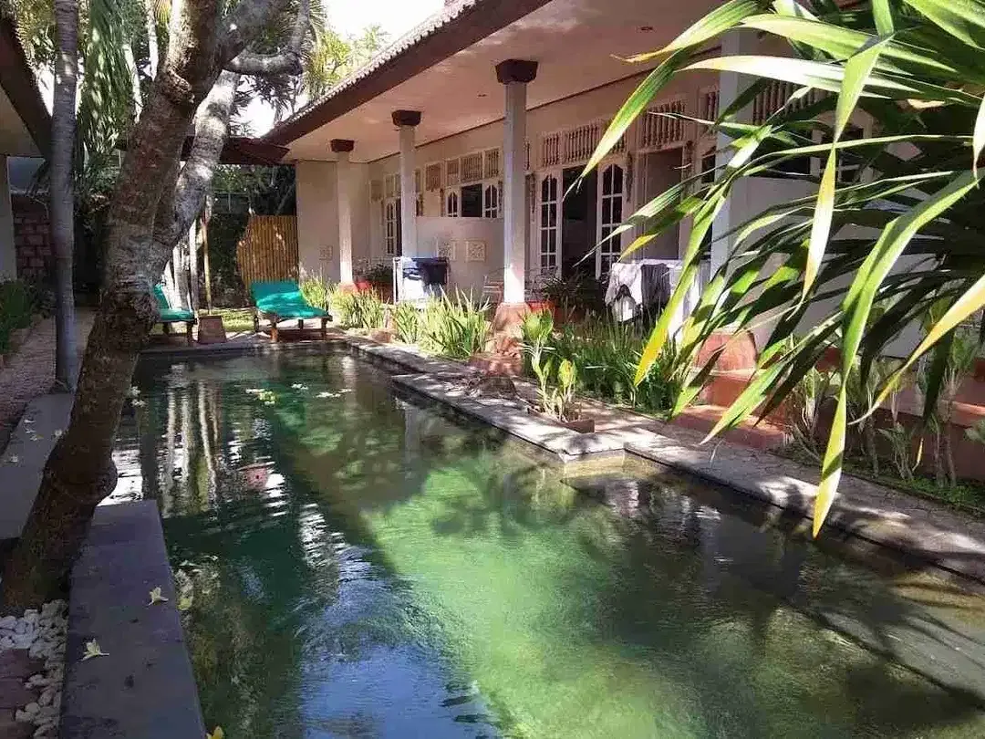 Guesthouse Danau tamblingan sanur - Image 7 of 10