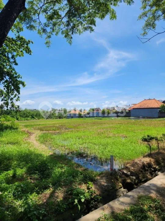 Land For Sale In Seseh Beach Bali - Image 4 of 4
