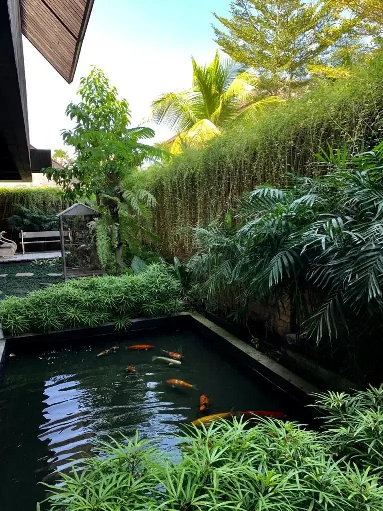 FOR SALE MODERN VILLA IN CANGGU BERAWA - Image 2 of 10