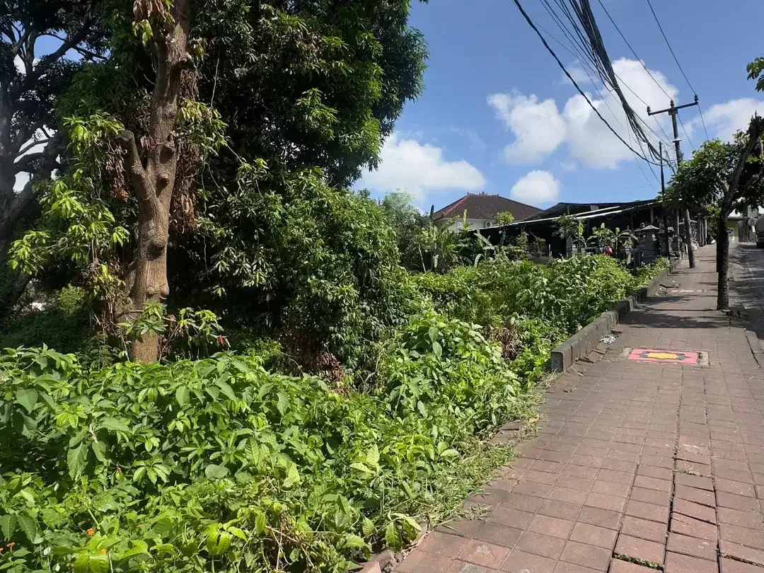 Dijual Tanah Komersial Jl Raya Kampus Udayana Jimbaran - Image 6 of 10