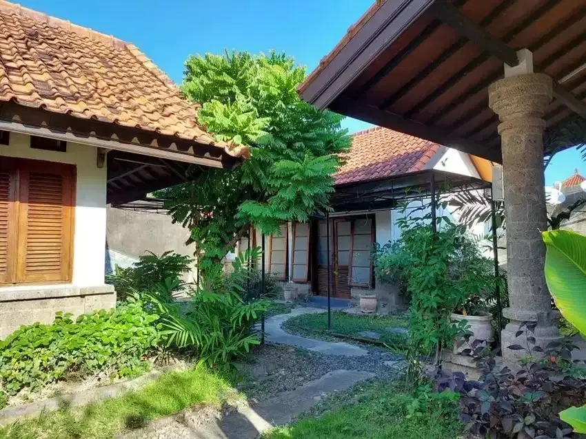 RUMAH MURAH STRATEGIS DI PUSAT KOTA RENON DENPASAR - Image 4 of 10