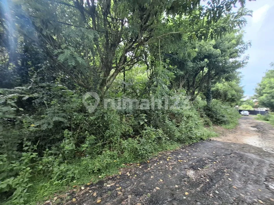 Tanah Jl Blong Bidadari Ungasan dengan View Pantaii - Image 3 of 4
