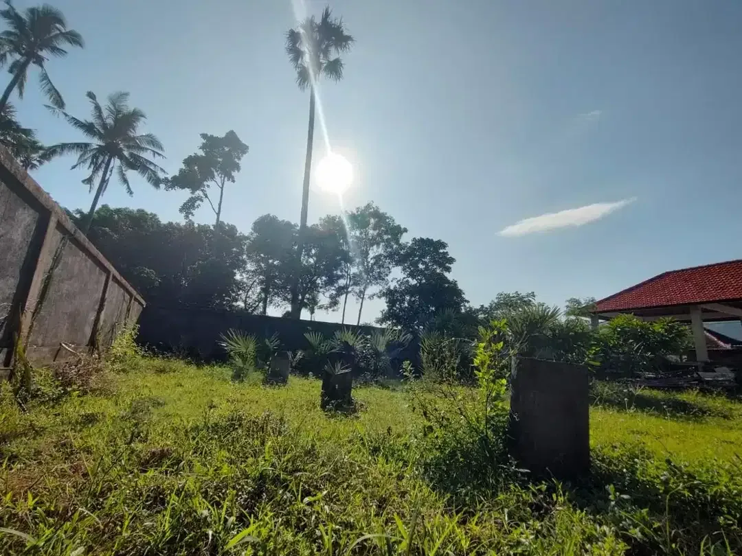 DIJUAL TANAH FREEHOLD KOMERSIL AMED KARANGASEM BALI - Image 7 of 7
