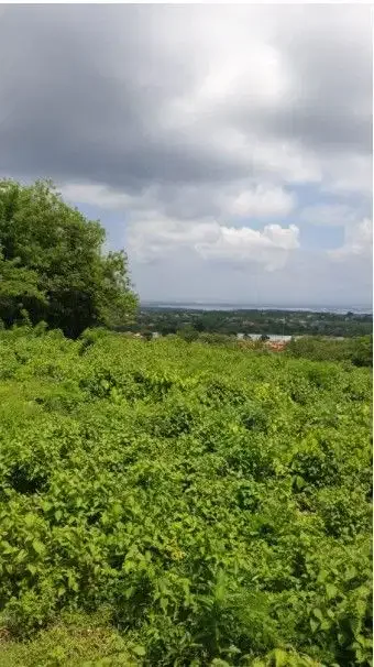 Tanah Murah View Laut dan Airport Jl Ocean Blue Nusa Dua Bali - Image 3 of 10