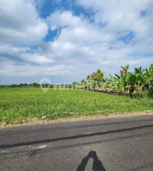 Tanah Strategis Zona Pariwisata View Sawah di Tabanan - Image 3 of 4