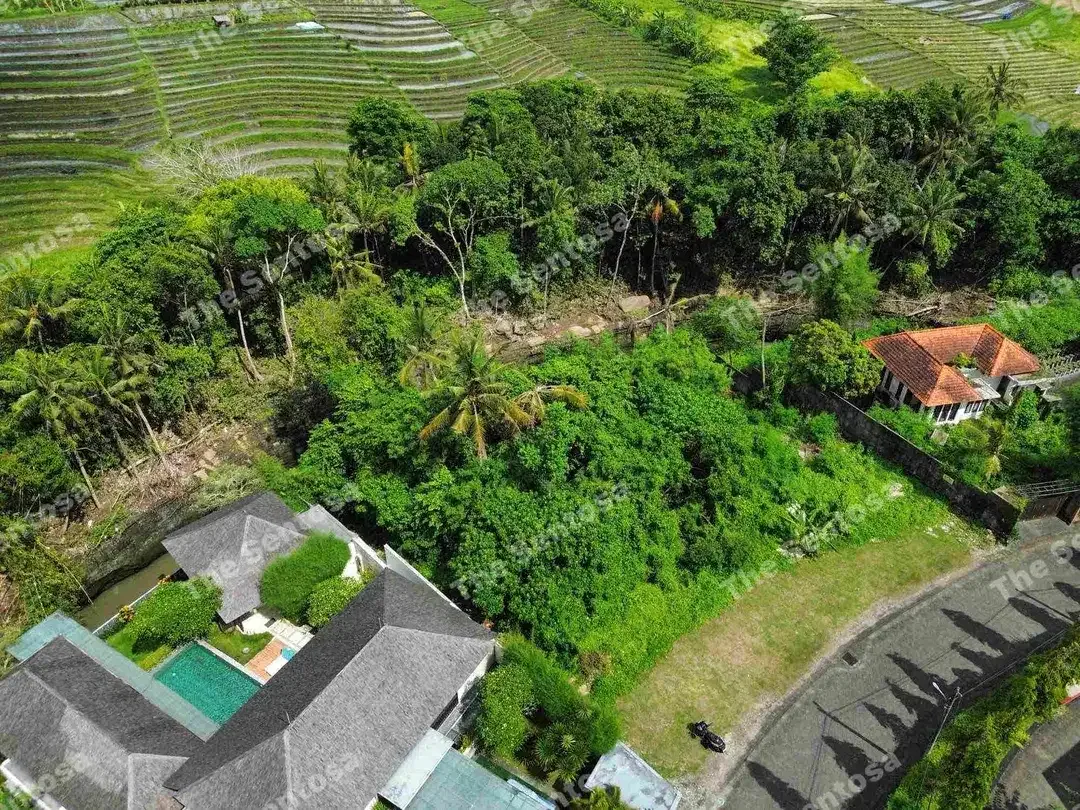 Tanah Pererenan Seseh Munggu one gate system riverfront - Image 3 of 8