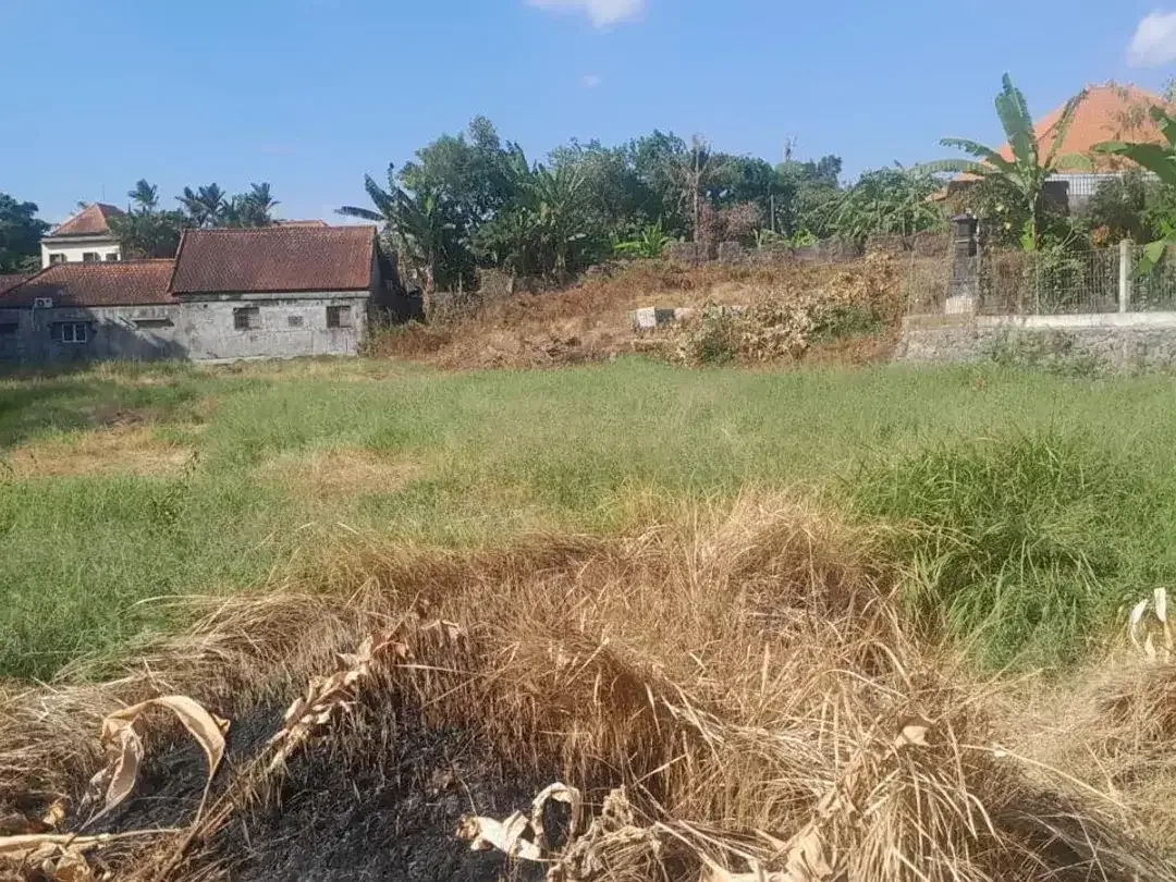 Tanah Raya munggu badung bali - Image 2 of 10