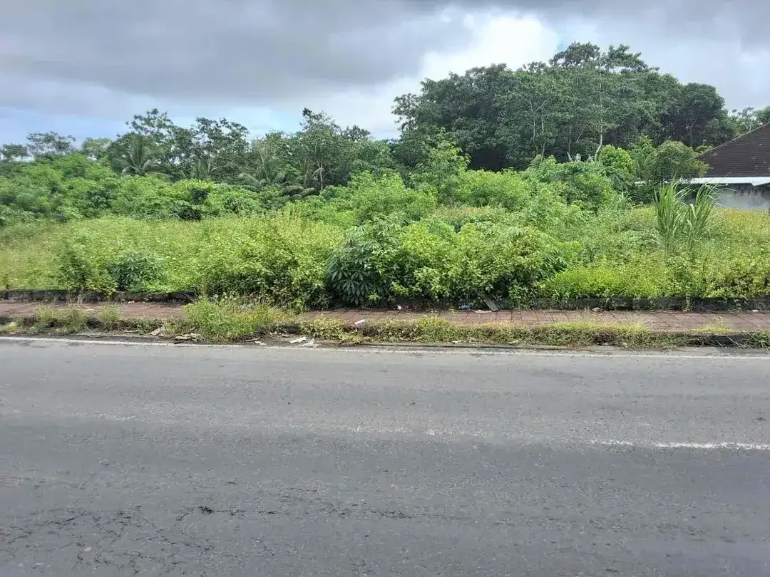 Di sewakan lahan komersil cocok untuk usaha karena di jalan utama labuan sait Pecatu - Image 9 of 10
