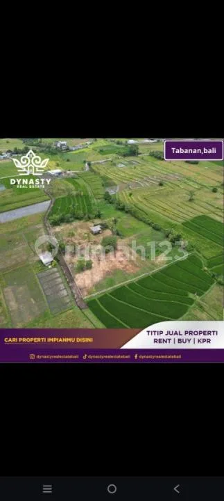 Lahan Premium Nyanyi - Siap Bangun, Siap Cuan :Rocket: - Image 2 of 4