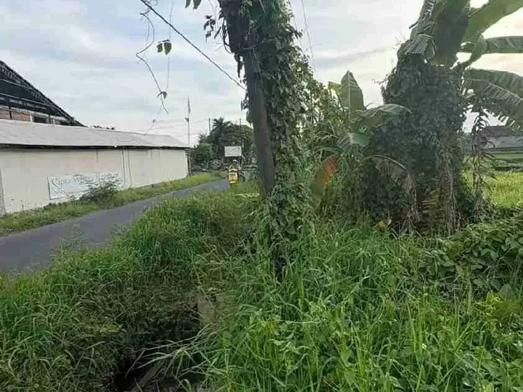 Tanah Komersial 2.650m² Jalan Raya Pantai Nyanyi - Image 4 of 10