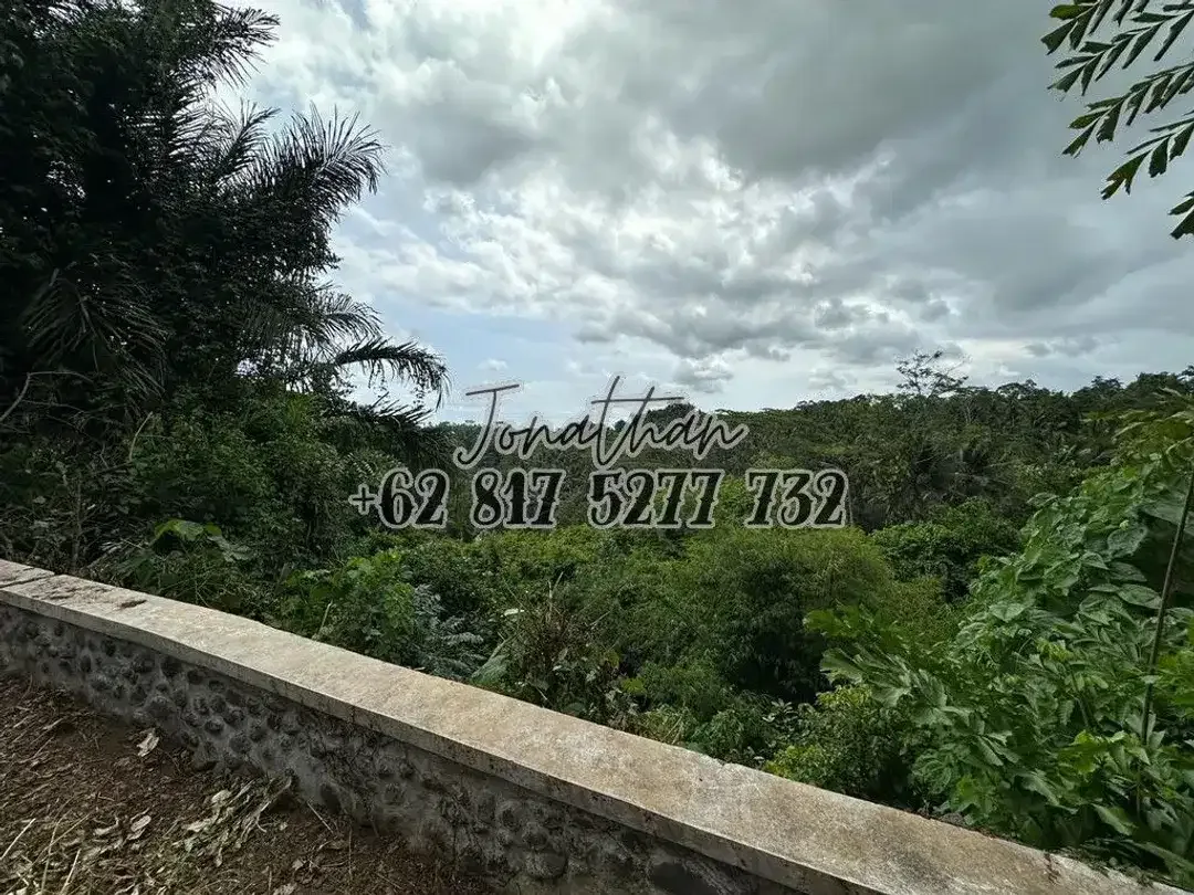 DIJUAL TANAH PREMIUM ZONA PARIWISATA DI SAYAN UBUD - Image 1 of 5