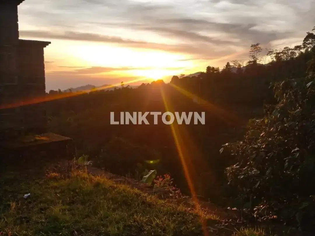 Dijual tanah 6,5ha (651,20 are) di kawasan wisata TURYAPADA TOWER dekat Bedugul Bali - Image 1 of 10