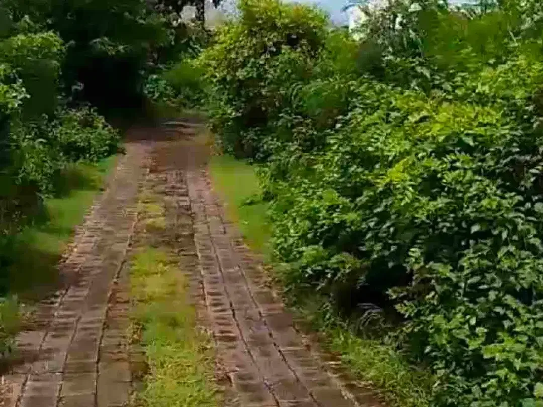 Di jual tanah luas 750 M2/ 7.5 are kawasan villa dan perumahan di kampial Benoa Kuta Selatan - Image 10 of 10