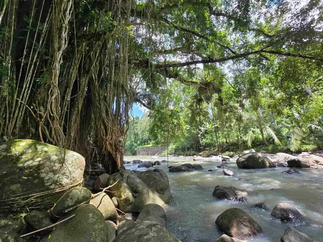 Dijual tanah murah los sungai di tabanan bali - Image 2 of 10