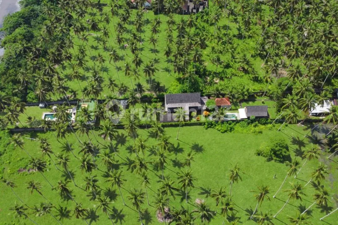 Villa For Sale Pangeragoan Jembrana By Local Property Team - Image 2 of 4