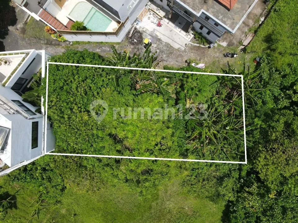 Lahan 3 Are di Tegal Cupek Kerobokan - Image 4 of 4
