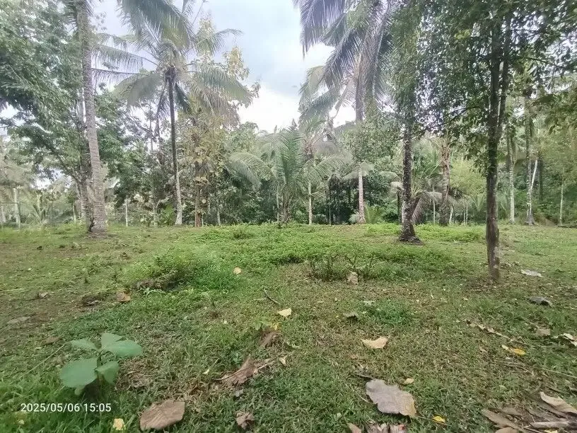 Tanah View Sawah dan Sungai dekat Villa Bali Lush dan Green Retreat - Image 7 of 10