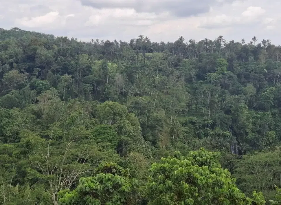 Dijual tanah los sungai besar dan view air terjun, gunung dan sawah - Image 2 of 10