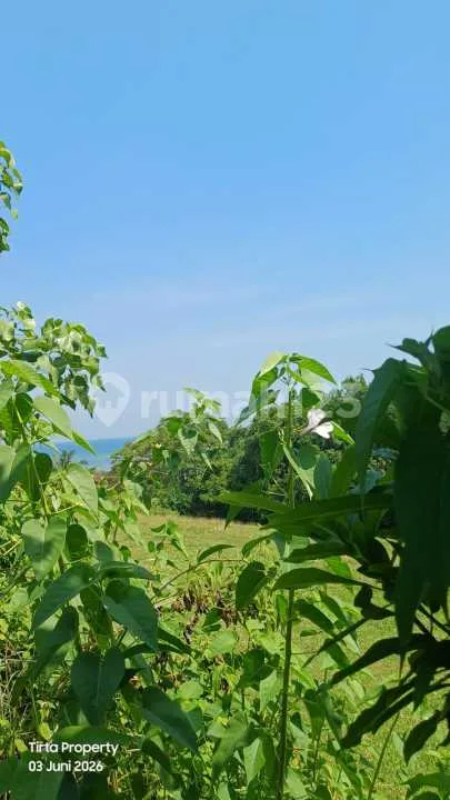 Tanah, SHM, Dekat Pantai, di Selemadeg Barat - Image 4 of 4