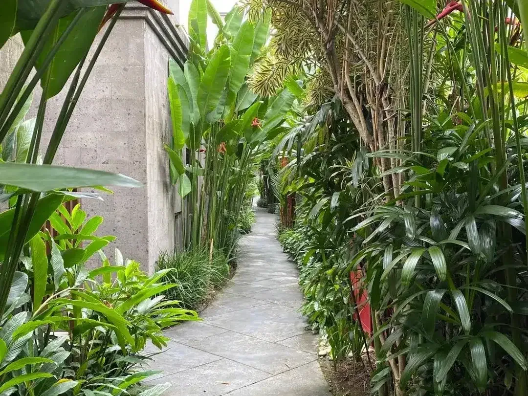 Hotel canggu bali - Image 5 of 10