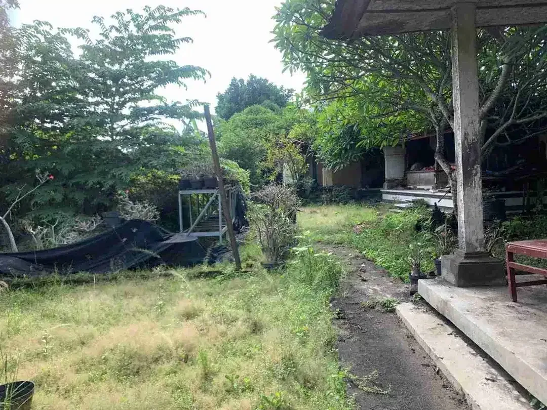 tanah bagus pinggir jalan dekat pantai cemagi Badung - Image 8 of 10