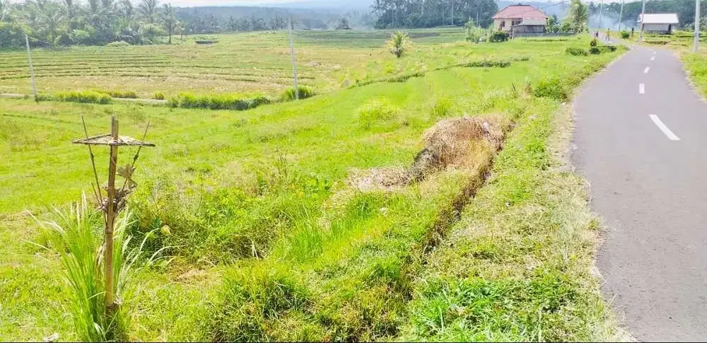 TANAH STRATEGIS VIEW SAWAH TABANAN - Image 4 of 10