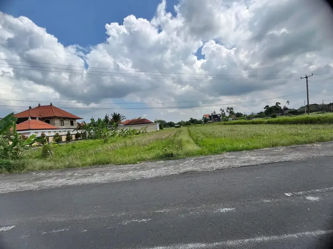 Dijual Tanah Pinggir Jln. Utama Ubud 700 m2 Cocok Usaha dan Vill - Image 5 of 10