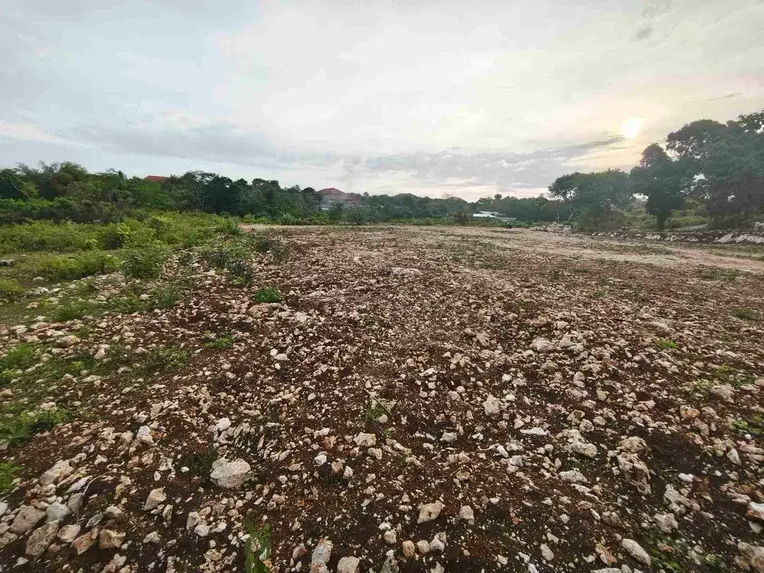 dijual tanah 400m² IDR 650 jutaper are dekat rektorat kampus unud jimbaran - Image 6 of 10