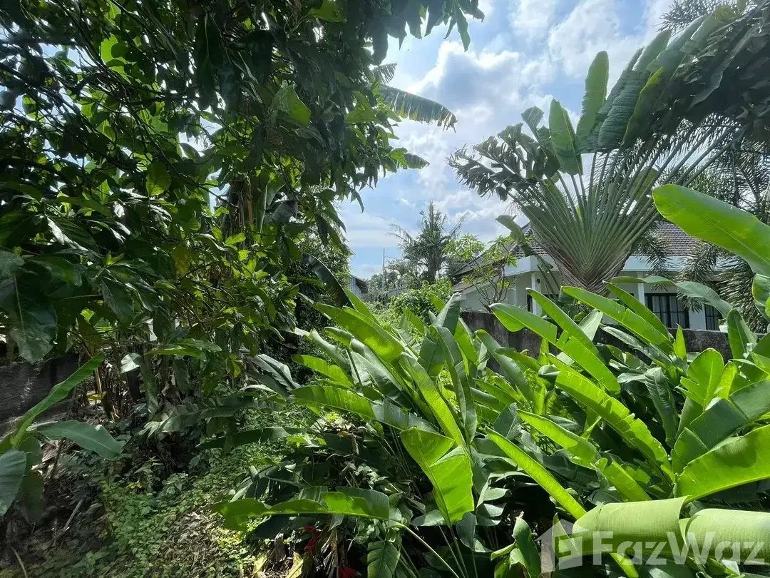 Land for sale in Tumbak Bayuh, Bali - Image 5 of 10